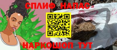 гашик Нальчик