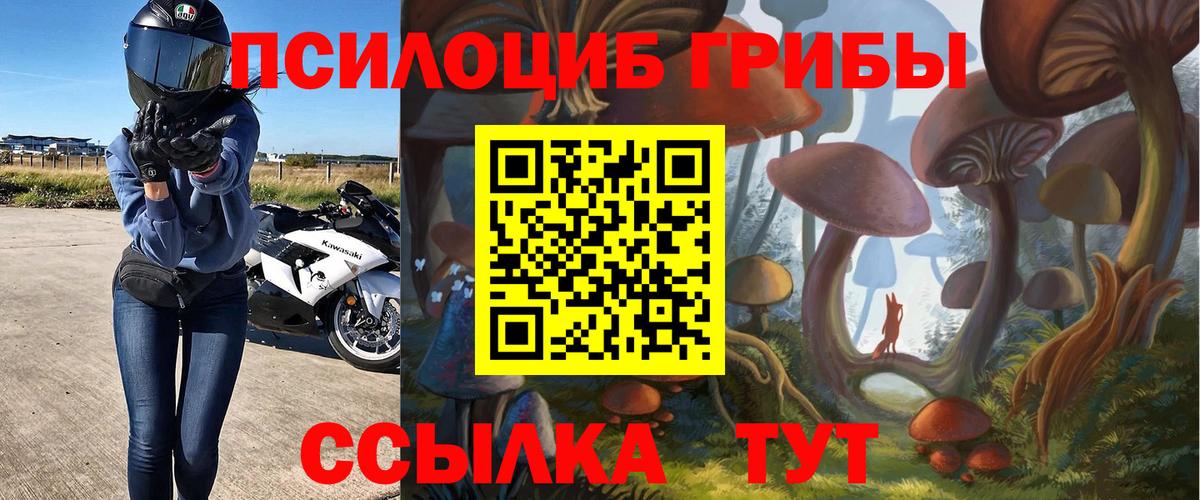 Псилоцибиновые грибы GOLDEN TEACHER Урай